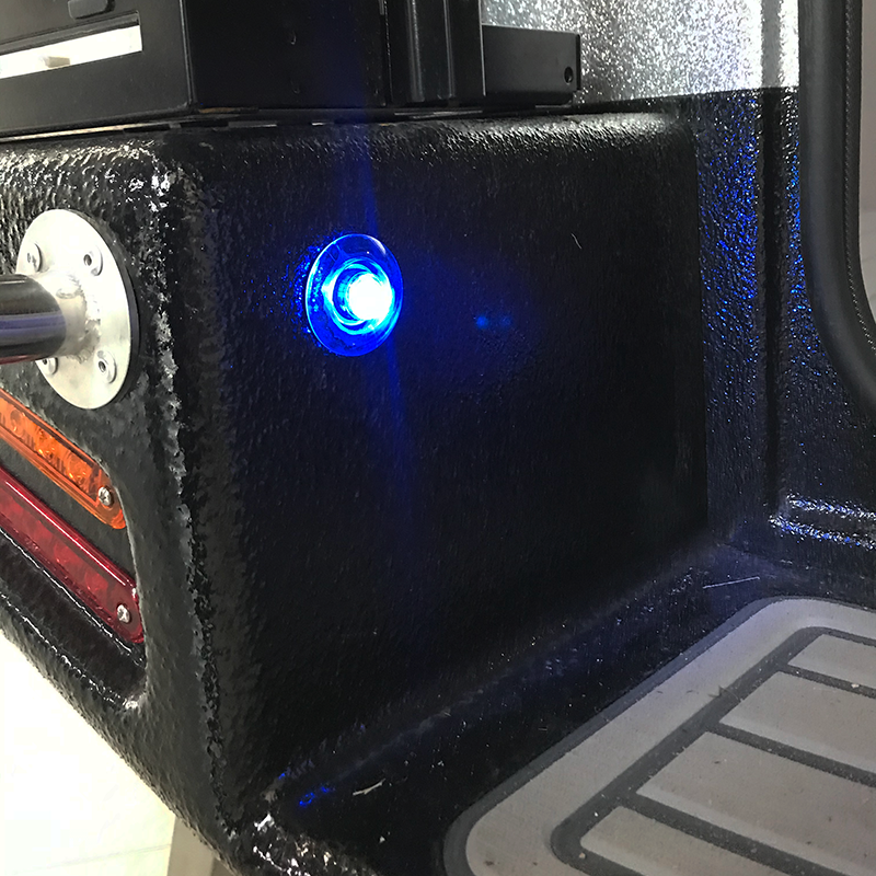 Rear Courtesy Light